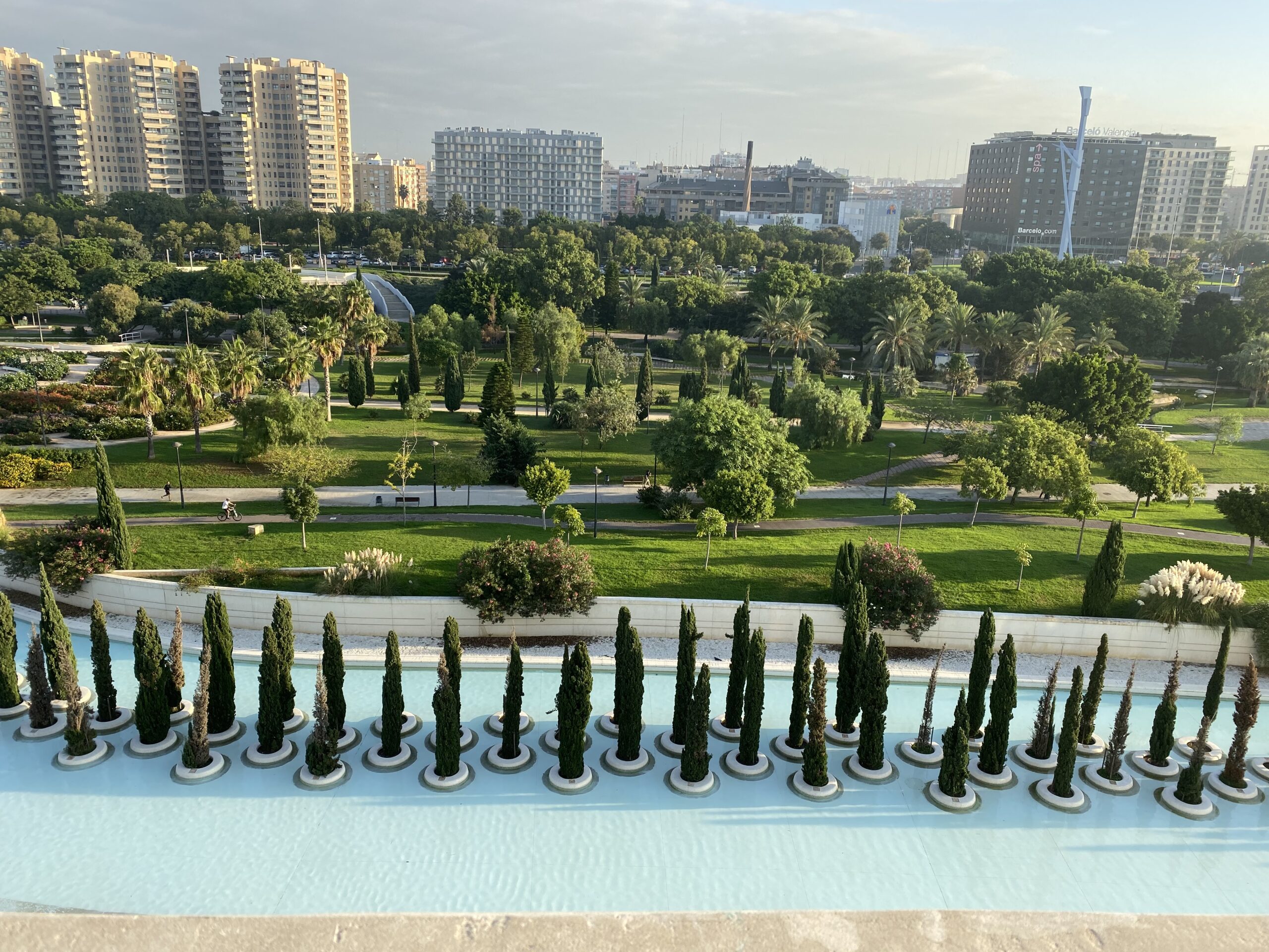 Palmeras y arquitectura urbana en Valencia