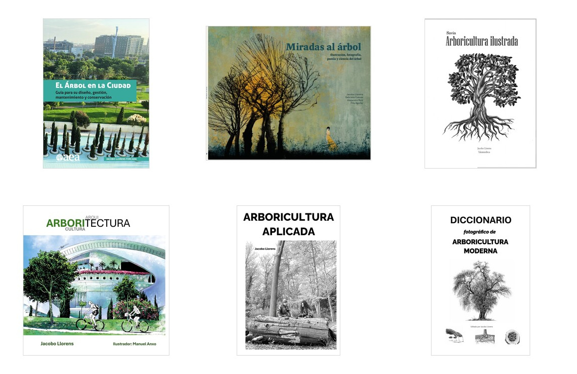 Cubiertas de las publicaciones de Jacobo Llorens