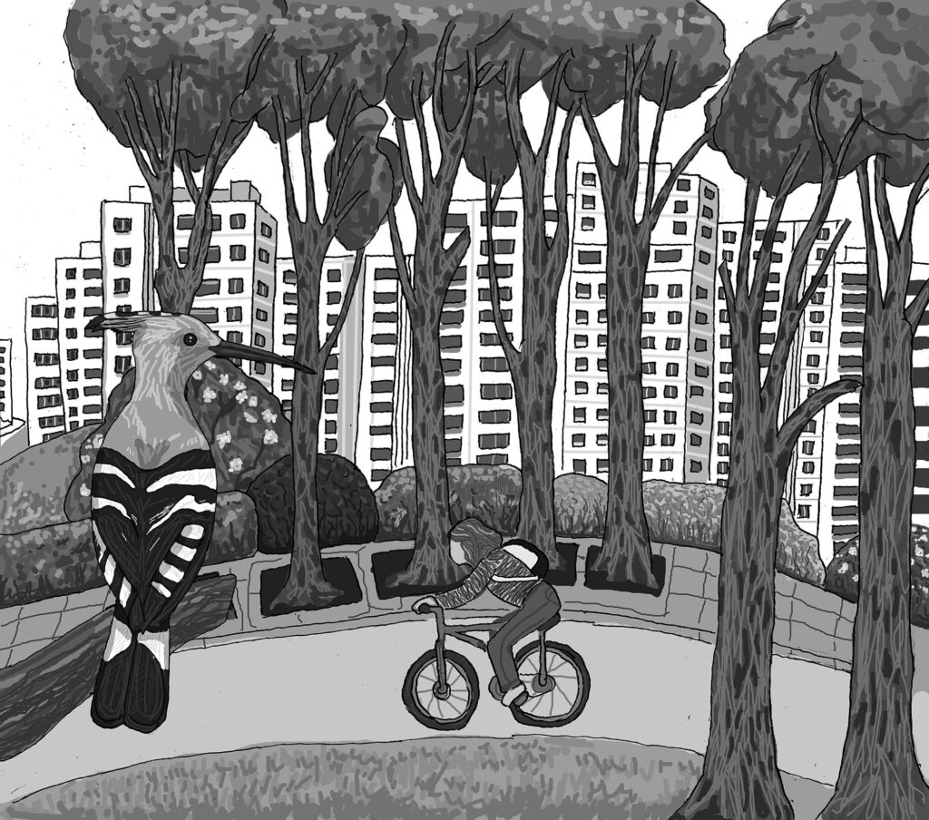 Pinar urbano entre edificios, con una abubilla y una persona en bicicleta.
