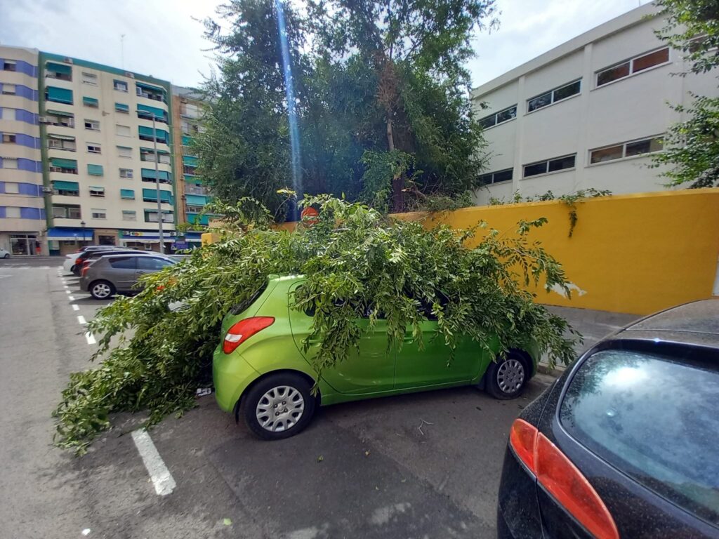Rama de gran tamaño caída sobre un vehículo estacionado.
