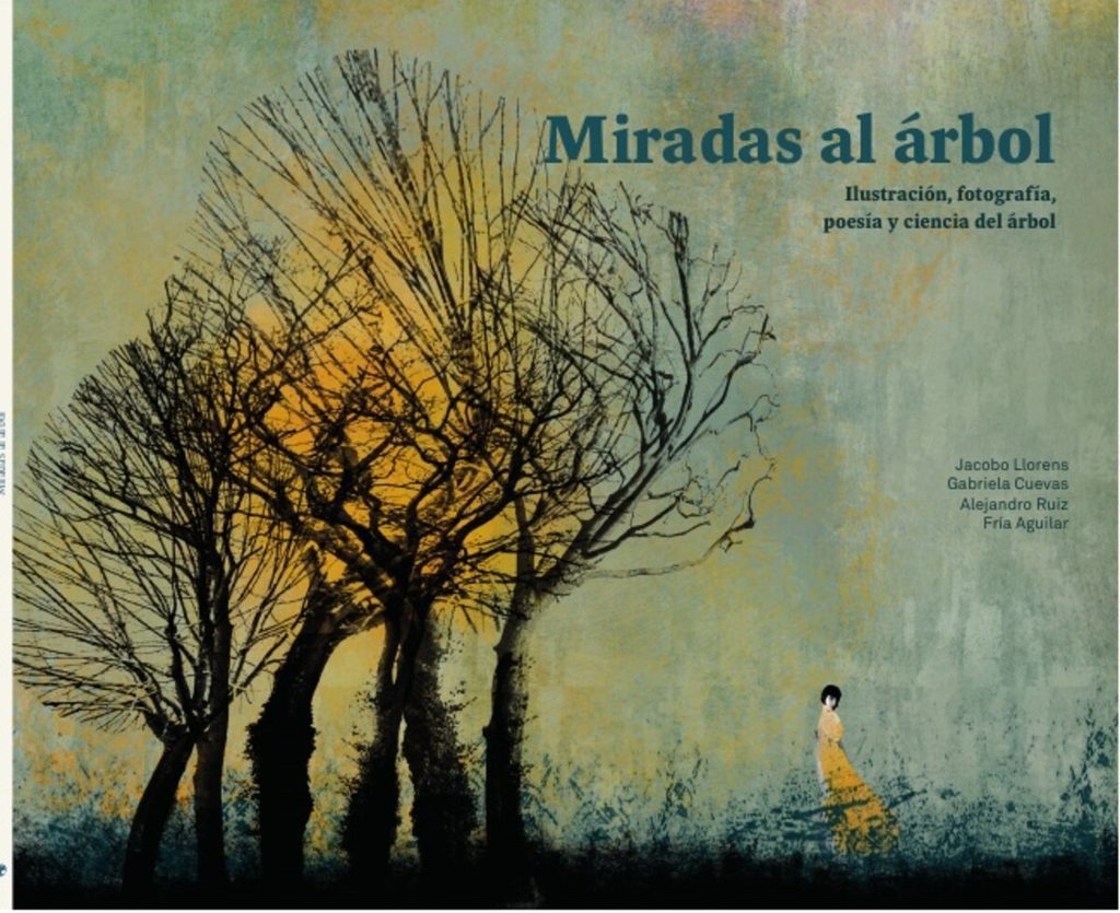 Cubierta del libro Miradas al árbol, de Jacobo Llorens