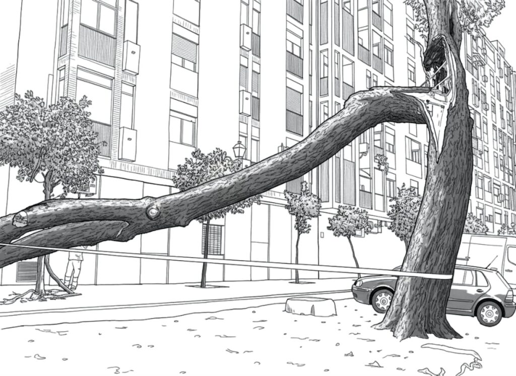 Ilustración de un árbol urbano con una gran rama lateral sobreextendida y una alteración visible en su unión con el tronco.